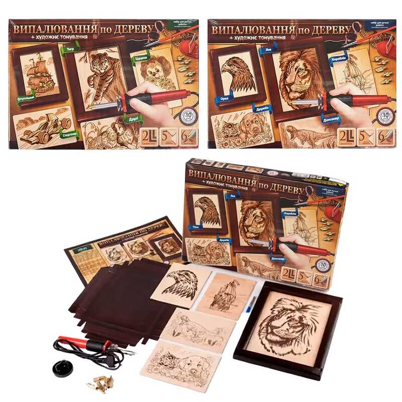 гр Набір для випалювання УКР WD-01-01U (6) "ДАНКО ТОЙС"