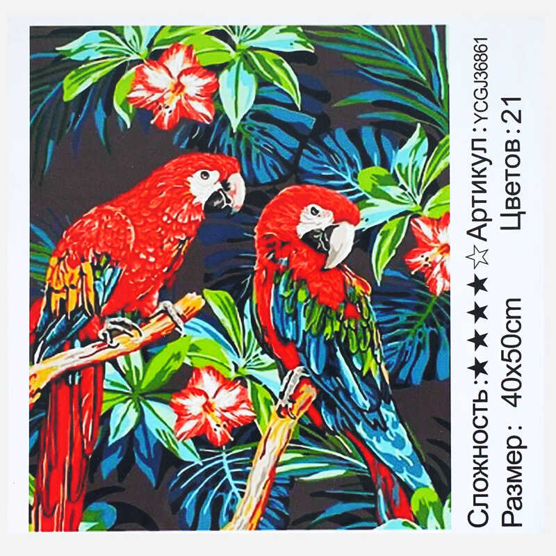 Картина за номерами YCGJ 36861 (30) "TK Group", 40х50 см, “Папуги”, в коробці