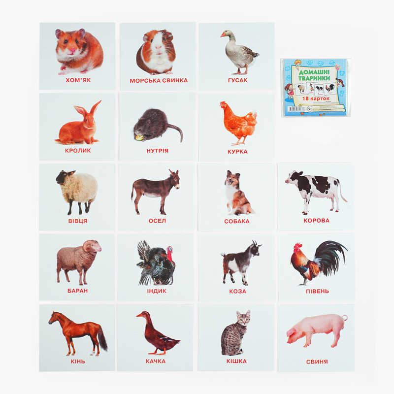 гр Картки міні (18 карток) "Домашні тварини" 9789669753687 (40) "Jumbi"