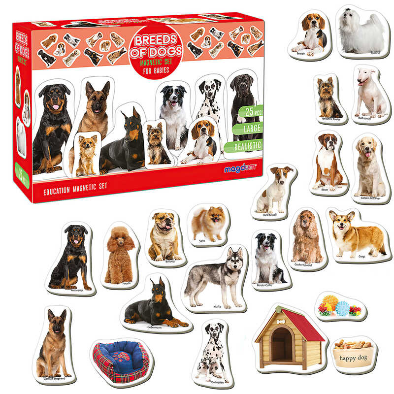 гр Набір магнітів “Породи собак” ML4031-20 EN (24) "Magdum", англ. мова, у коробці