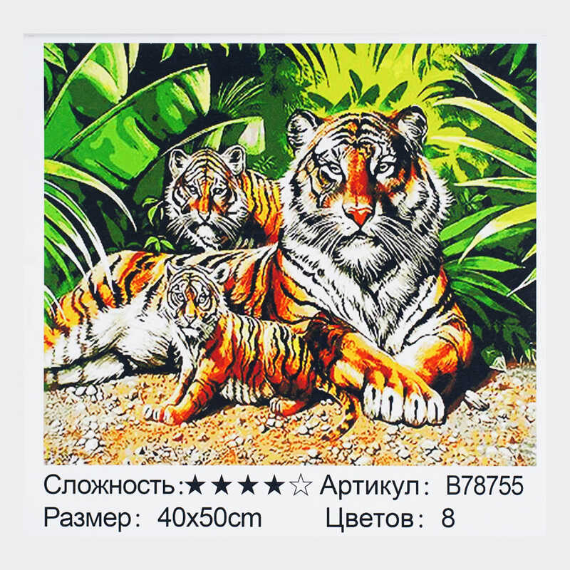 Картина за номерами + Алмазна мозаїка B 78755 (30) "TK Group", 40х50 см, "Сімейство тигрів", в коробці