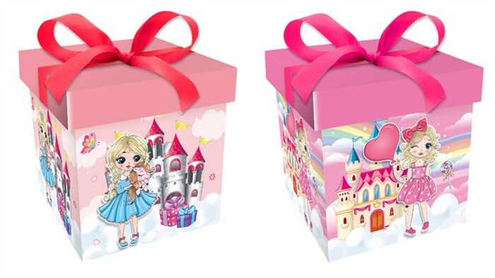 Коробка подарункова C 75683 (240) 2 види, в пакеті