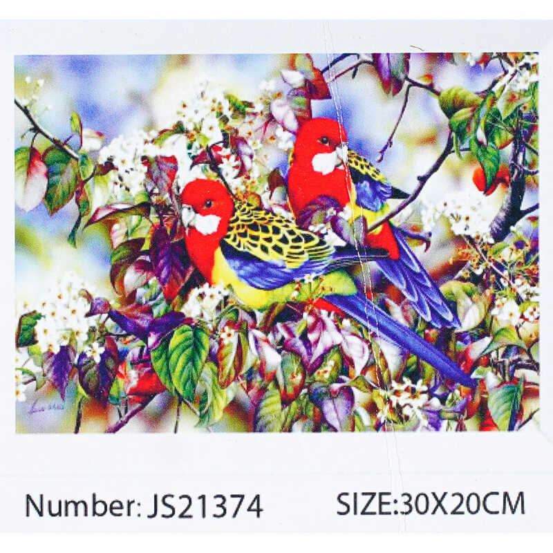 Алмазна мозаїка JS 21374 (50) "TK Group", "Птахи", 30х20 в коробці