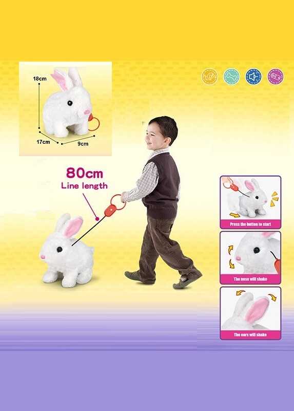 Улюбленець 924-3 (48/2) ходить, на повідці, у пакеті