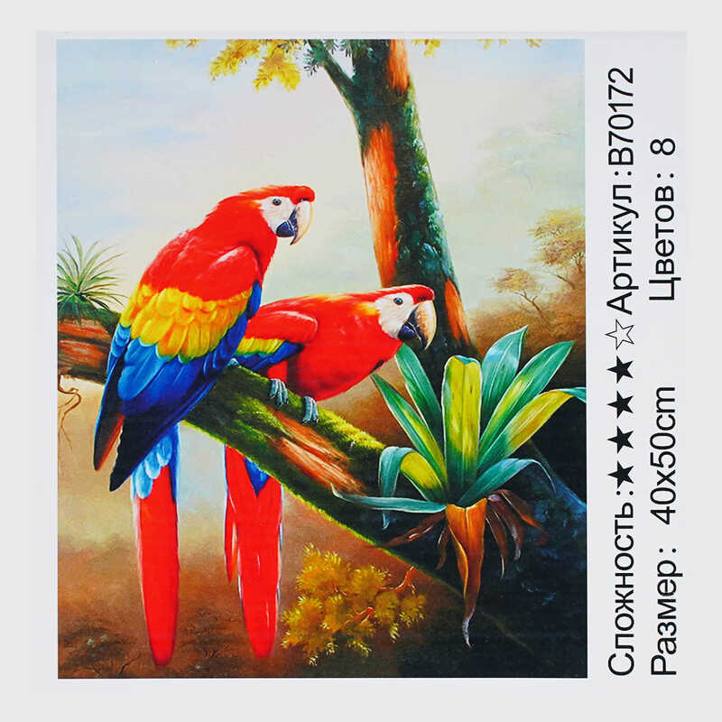 Картина за номерами + Алмазна мозаїка B 70172 (30) "TK Group", 40х50 см, "Папуги", в коробці